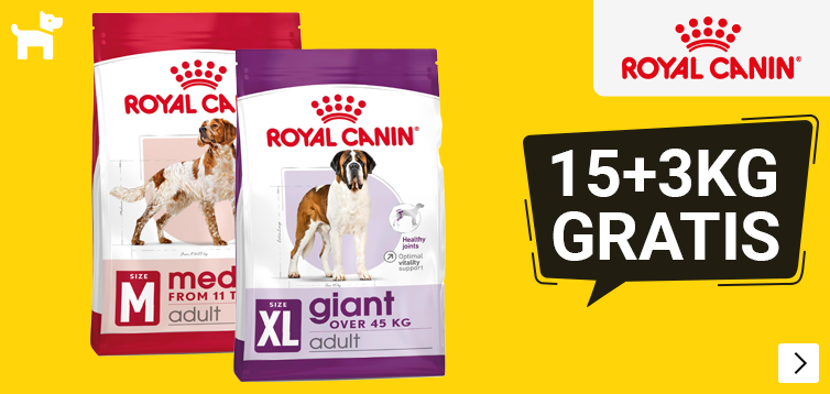 Jan2026RoyalCaninBonusDog